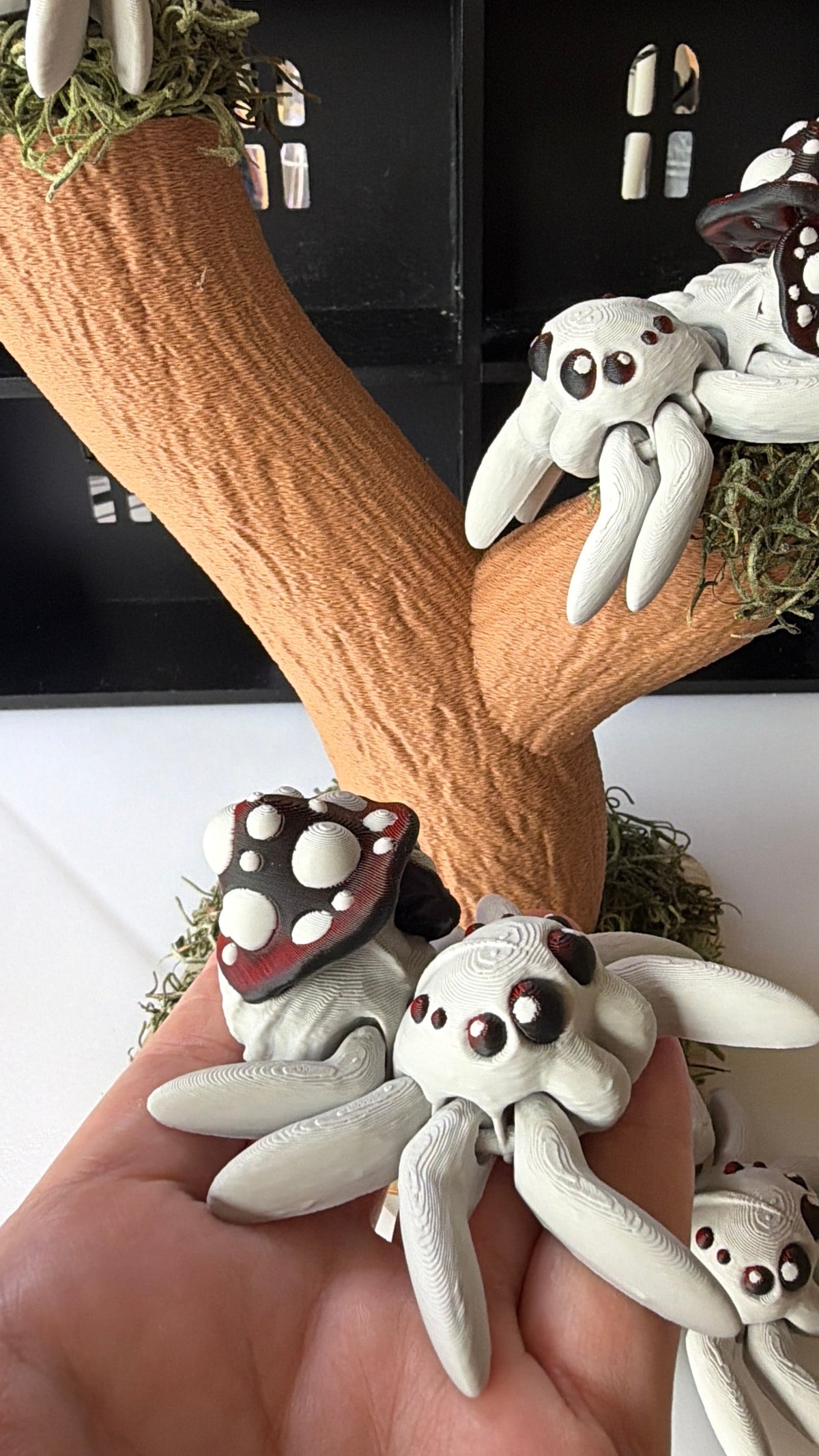 Mushroom Spider