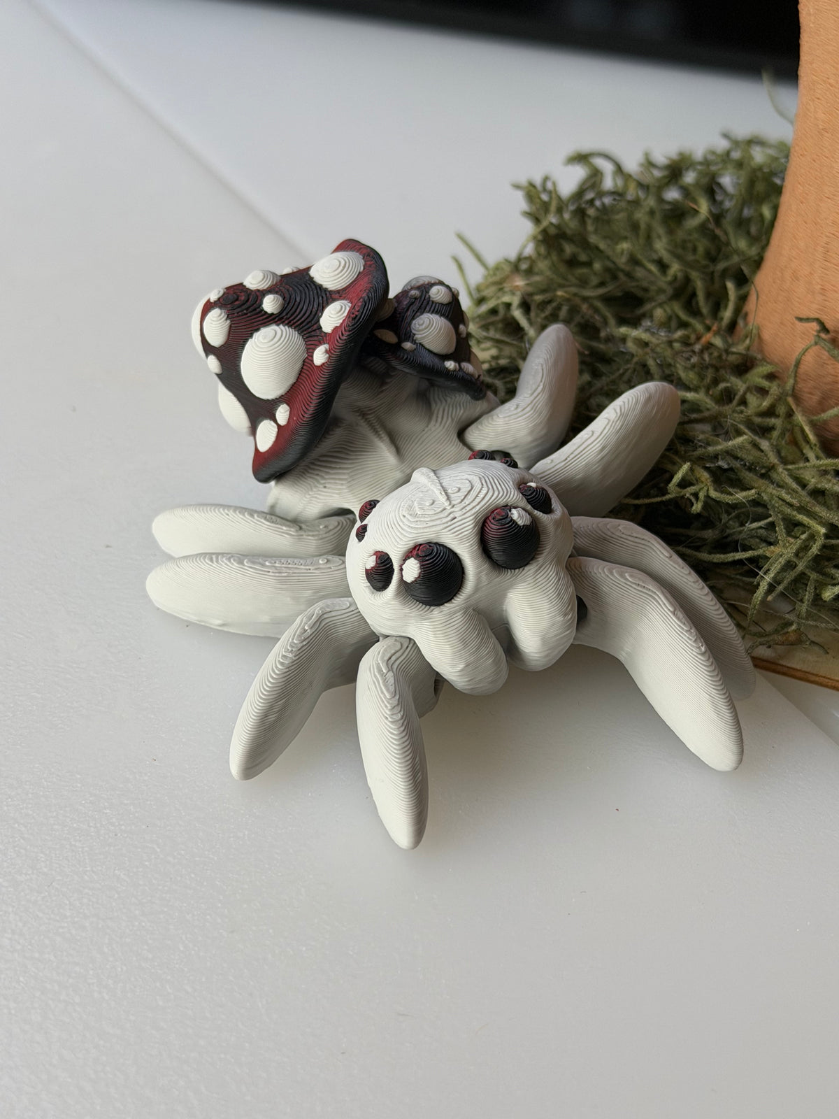 Mushroom Spider