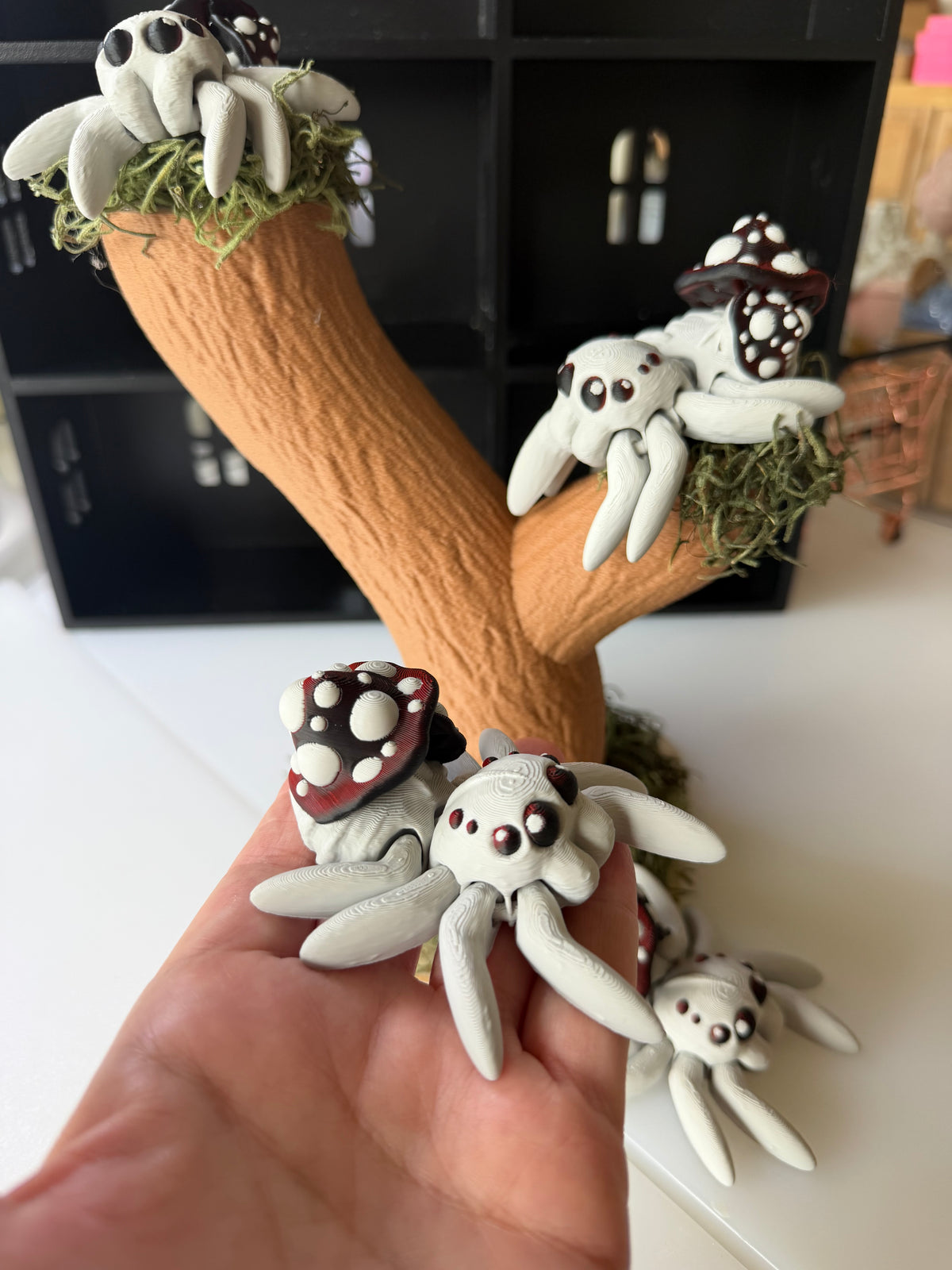 Mushroom Spider