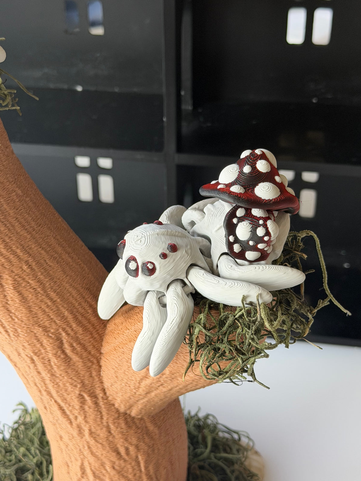 Mushroom Spider