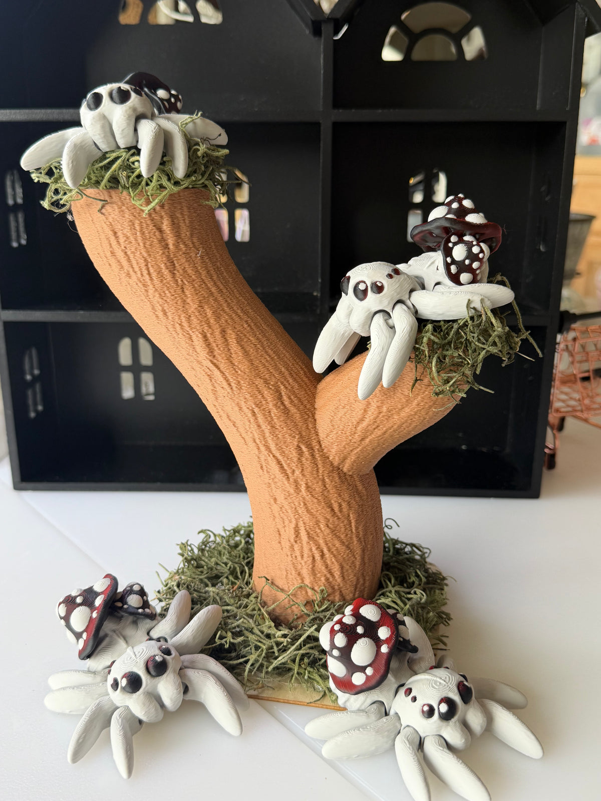 Mushroom Spider
